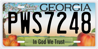 GA license plate PWS7248