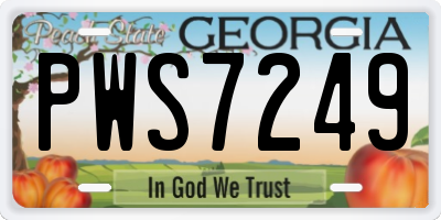 GA license plate PWS7249
