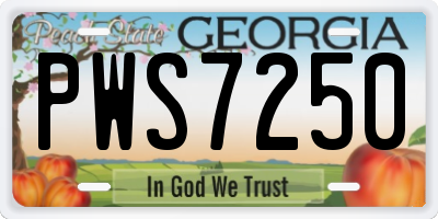GA license plate PWS7250