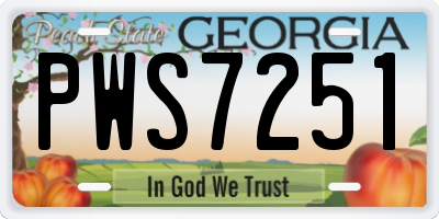 GA license plate PWS7251
