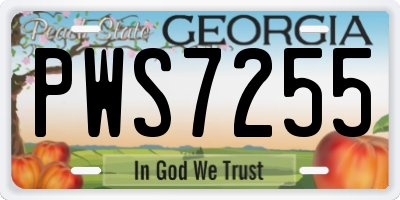 GA license plate PWS7255