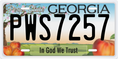 GA license plate PWS7257