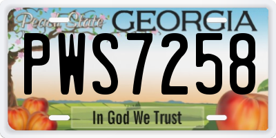 GA license plate PWS7258