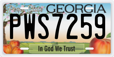 GA license plate PWS7259