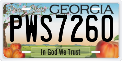 GA license plate PWS7260