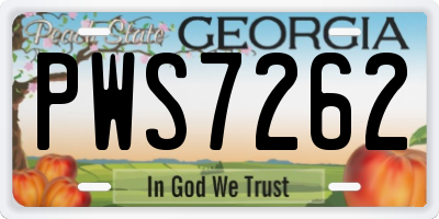 GA license plate PWS7262