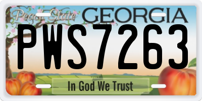 GA license plate PWS7263