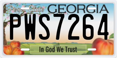 GA license plate PWS7264