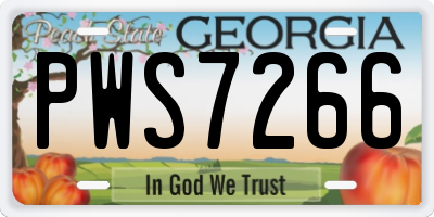 GA license plate PWS7266
