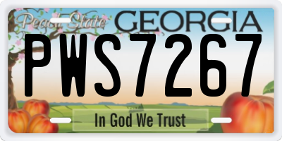 GA license plate PWS7267