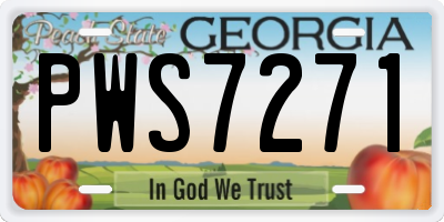 GA license plate PWS7271