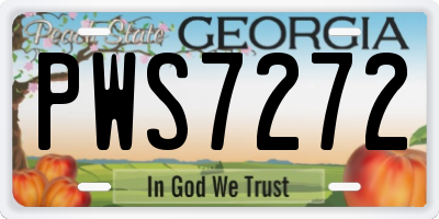 GA license plate PWS7272