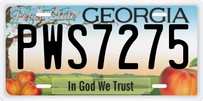 GA license plate PWS7275