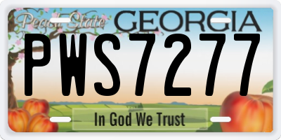 GA license plate PWS7277