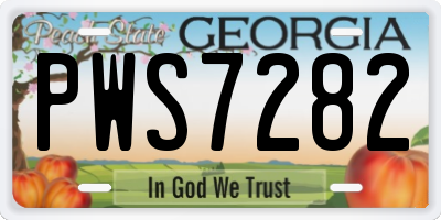 GA license plate PWS7282