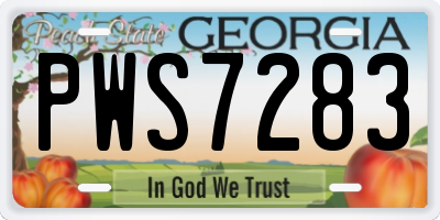 GA license plate PWS7283