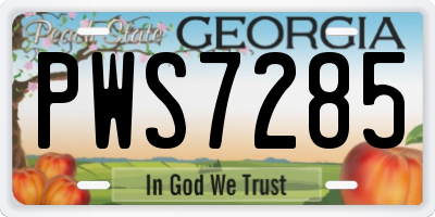 GA license plate PWS7285