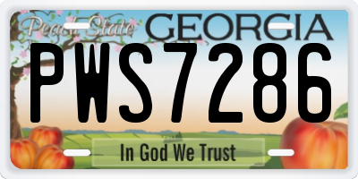 GA license plate PWS7286