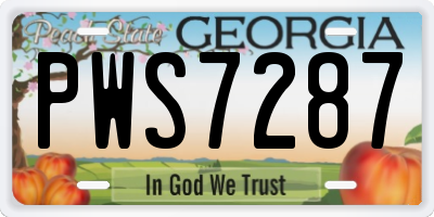 GA license plate PWS7287