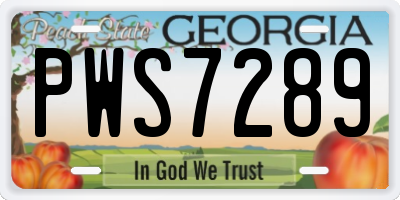 GA license plate PWS7289