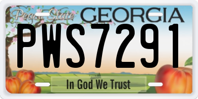GA license plate PWS7291
