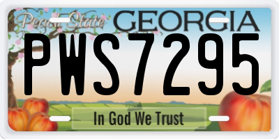 GA license plate PWS7295