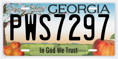 GA license plate PWS7297
