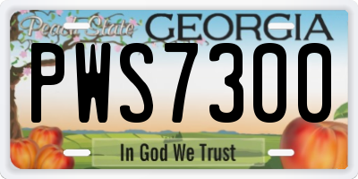 GA license plate PWS7300