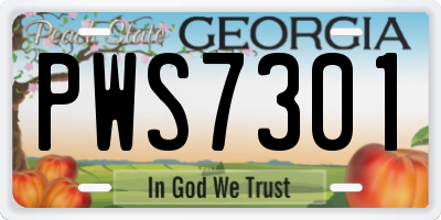GA license plate PWS7301