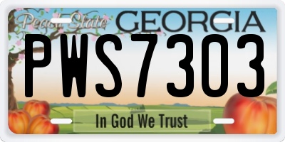 GA license plate PWS7303