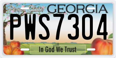 GA license plate PWS7304