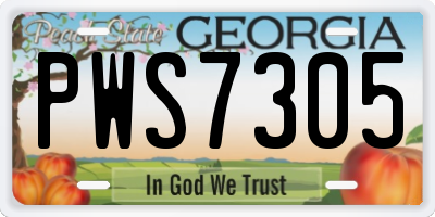 GA license plate PWS7305