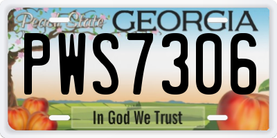 GA license plate PWS7306
