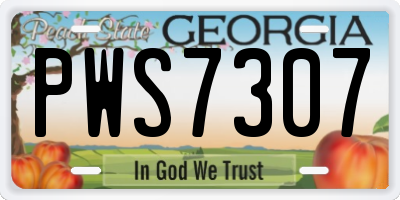 GA license plate PWS7307