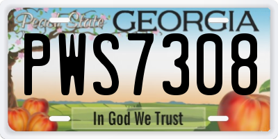 GA license plate PWS7308