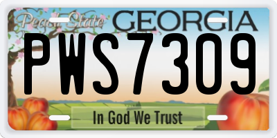 GA license plate PWS7309