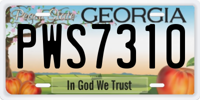GA license plate PWS7310
