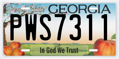 GA license plate PWS7311