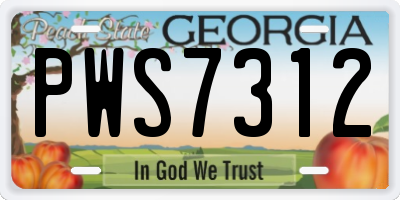GA license plate PWS7312