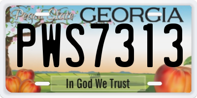 GA license plate PWS7313
