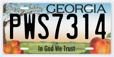GA license plate PWS7314