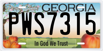 GA license plate PWS7315