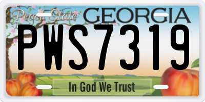 GA license plate PWS7319