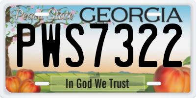 GA license plate PWS7322
