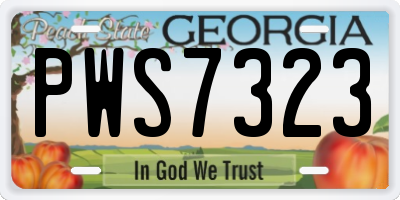 GA license plate PWS7323