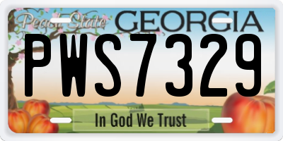 GA license plate PWS7329