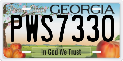 GA license plate PWS7330