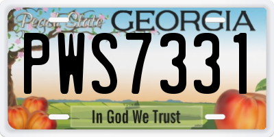 GA license plate PWS7331