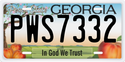 GA license plate PWS7332