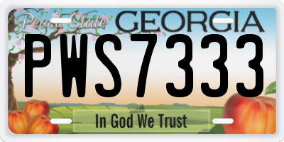 GA license plate PWS7333